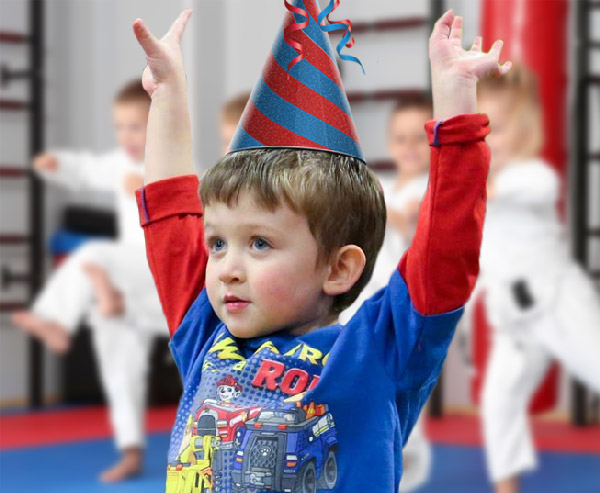 Martial Arts Karate Birthday Party